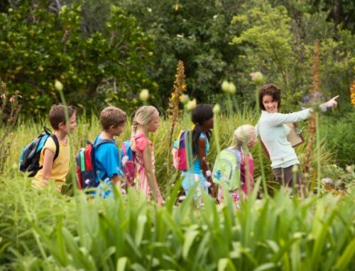 Séjour Scolaire : des idées pour organiser votre classe découverte